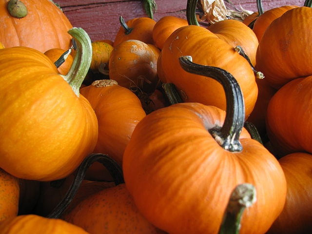 Potaz od bundeve 2 640px Pumpkins 1
